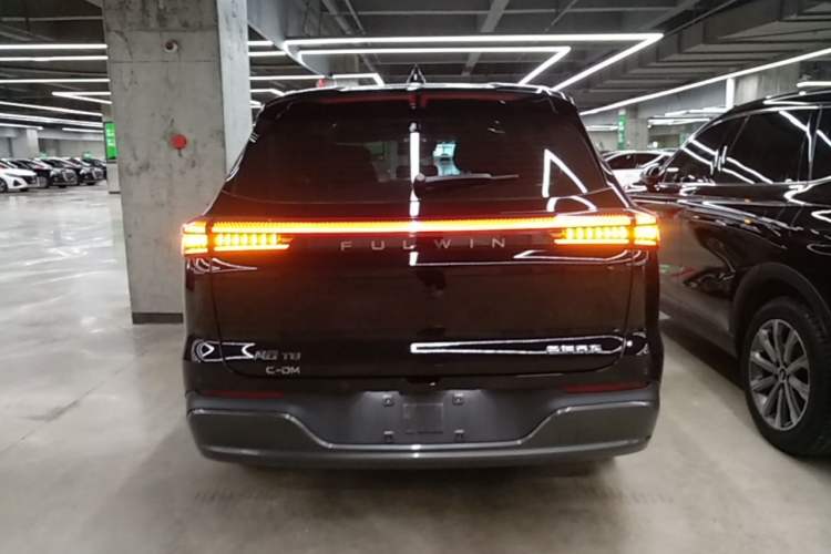 Used Chery Fengyun T8 2025 1.5T 130 km Luxury Edition 5-Seater Rear
