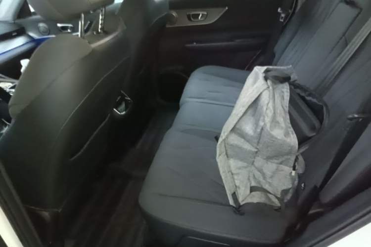 Used Chery Fengyun T8 2025 1.5T 130 km Luxury Edition 5-Seater Left Rear Seat