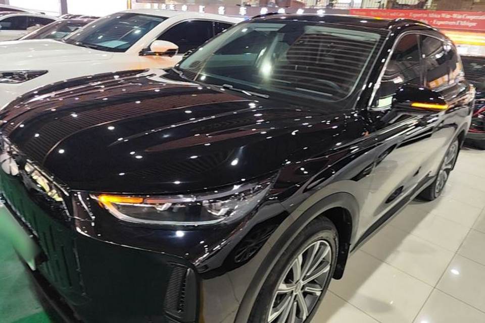Chery Fengyun Fengyun T9 2024