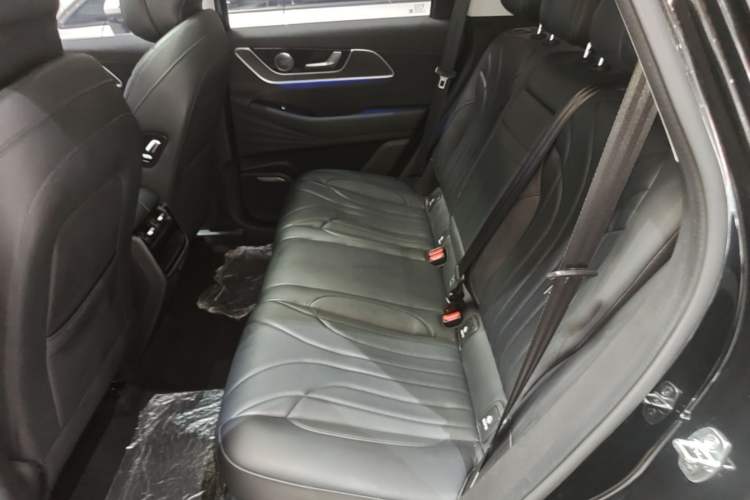 Used Chery Fengyun T9 2024 120 Long-Range Comfort Version 5-Seater with Ternary Lithium Battery Left Rear Seat