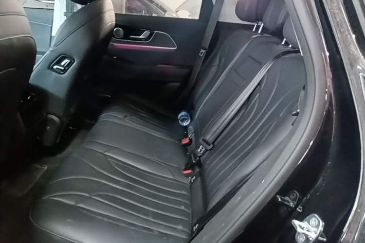 Used Chery Fengyun T9 2024 120 Long-Range Luxury Version 5 Seats Ternary Lithium Left Rear Seat