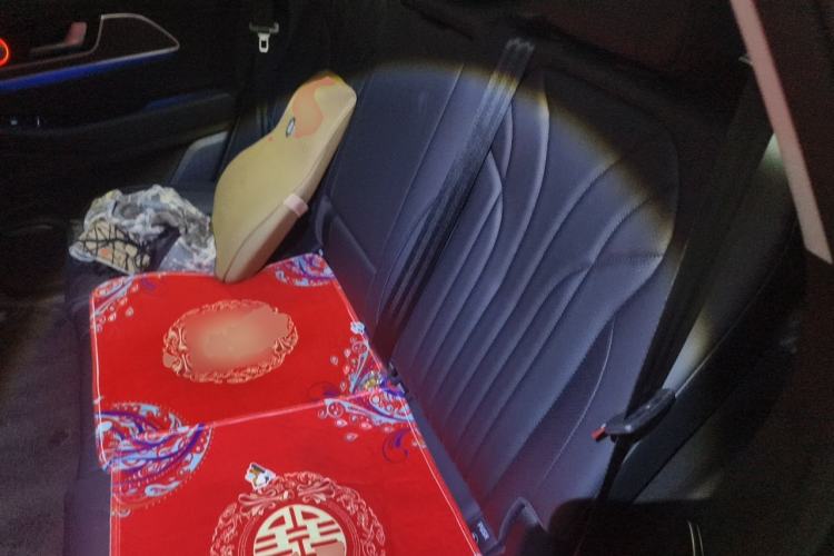 Used Chery Fengyun T9 2024 120 Long-Range Luxury Version 7 Seats Lithium Iron Phosphate Left Rear Seat