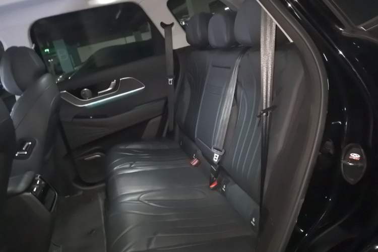 Used Chery Fengyun T9 2024 120 Long-Range Comfort Version 5-Seater with Ternary Lithium Battery Left Rear Seat