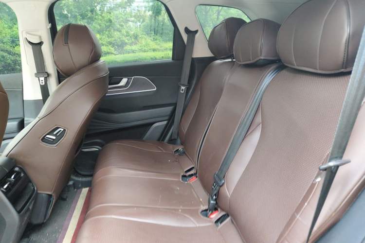 Used Chery Fengyun T9 2024 120 Long-Range Comfort Version 5 Seats Lithium Iron Phosphate Left Rear Seat