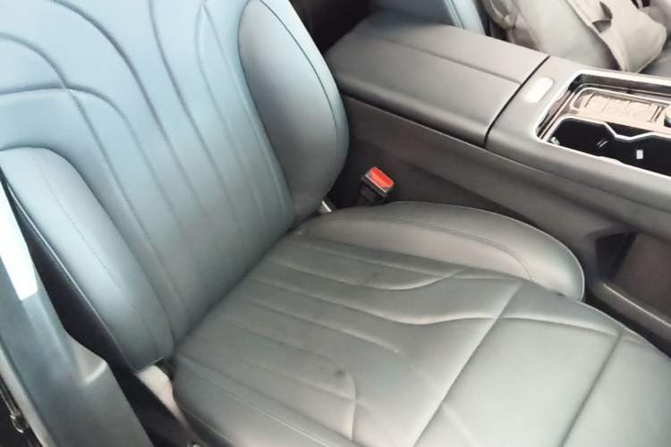 Used Chery Fengyun T9 2024 120 Long-Range Luxury Version 5 Seats Lithium Iron Phosphate Right Front Seat