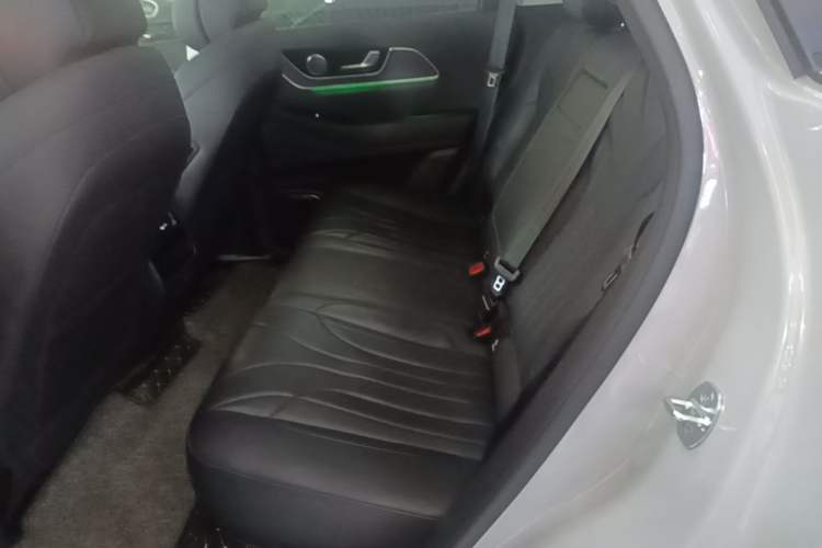Used Chery Fengyun T9 2024 120 Long-Range Comfort Version 5-Seater with Ternary Lithium Battery Left Rear Seat