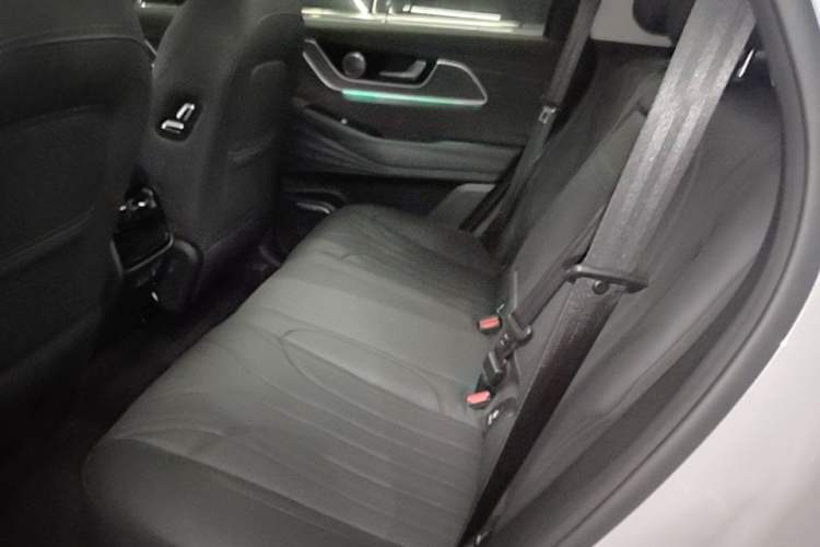 Used Chery Fengyun T9 2024 120 Long-Range Comfort Version 5 Seats Lithium Iron Phosphate Left Rear Seat
