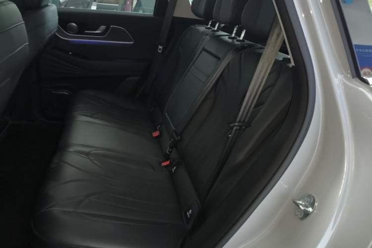 Used Chery Fengyun T9 2024 120 Long-Range Comfort Version 5-Seater with Ternary Lithium Battery Left Rear Seat