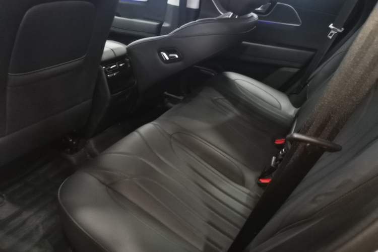 Used Chery Fengyun T9 2024 120 Long-Range Luxury Version 5 Seats Lithium Iron Phosphate Left Rear Seat