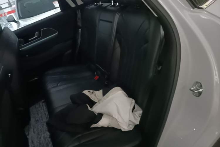 Used Chery Fengyun T9 2024 120 Long-Range Luxury Version 5 Seats Ternary Lithium Left Rear Seat
