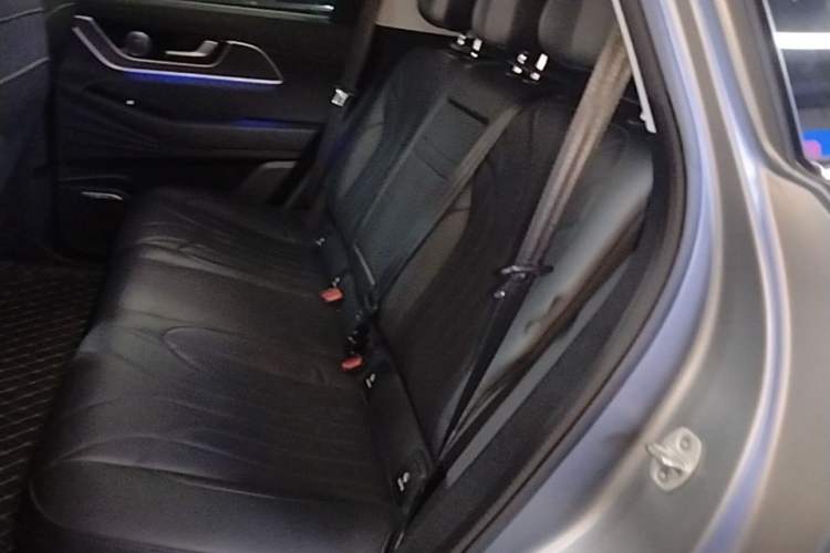 Used Chery Fengyun T9 2024 120 Long-Range Luxury Version 5 Seats Lithium Iron Phosphate Left Rear Seat
