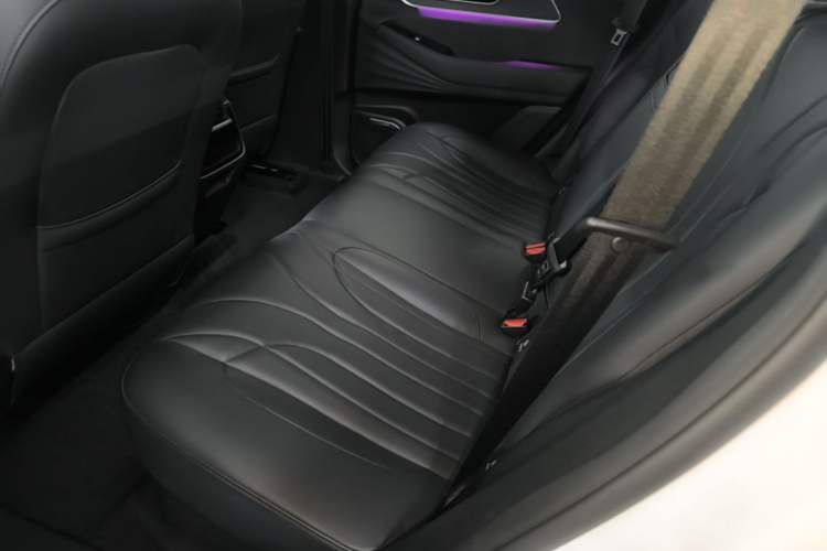 Used Chery Fengyun T9 2024 120 Long-Range Luxury Version 5 Seats Ternary Lithium Left Rear Seat