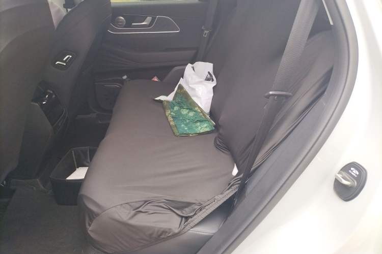 Used Chery Fengyun T9 2025 120 Long-Range Luxury Version 5-Seater with Ternary Lithium Battery Left Rear Seat