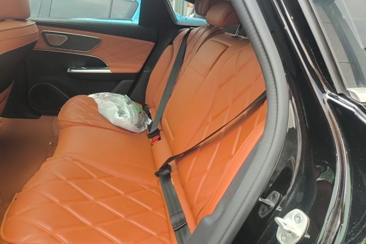 Used Chery Fengyun Fulwin A9L 2025 Model, 260 Ultra-Long Range Luxury Edition Left Rear Seat