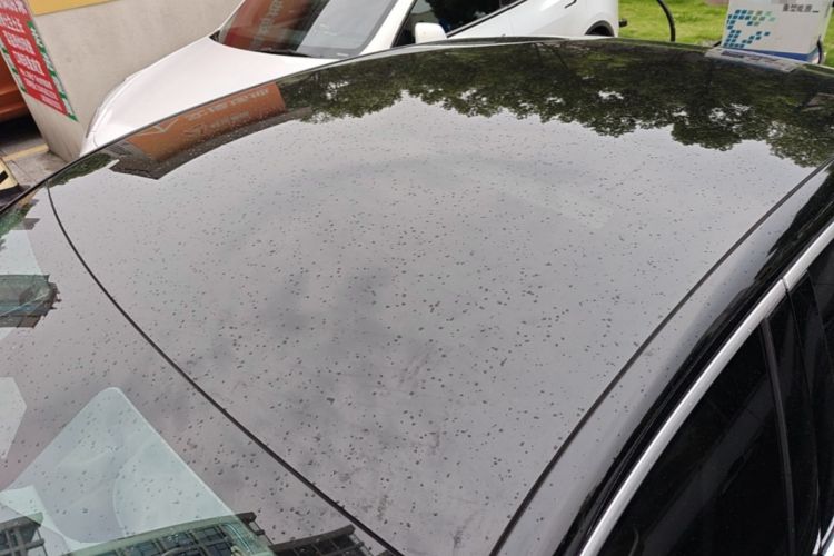 Used Chery Fengyun Fulwin A9L 2025 Model, 260 Ultra-Long Range Prestige Edition Roof