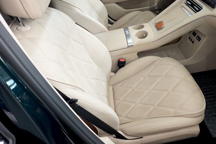 Used Chery Fengyun Fulwin A9L 2025 Model, 260 Ultra-Long Range Prestige Edition Right Front Seat