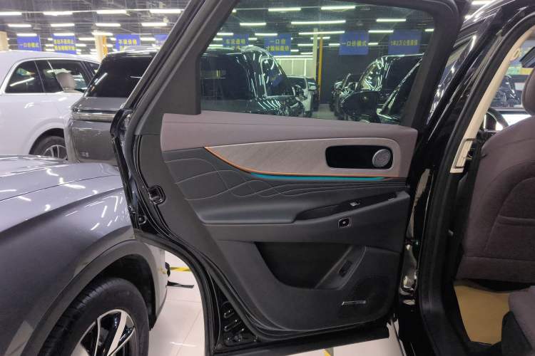 Used Chery Fengyun T10 2024 210 Luxury Edition Left Rear Door Interior