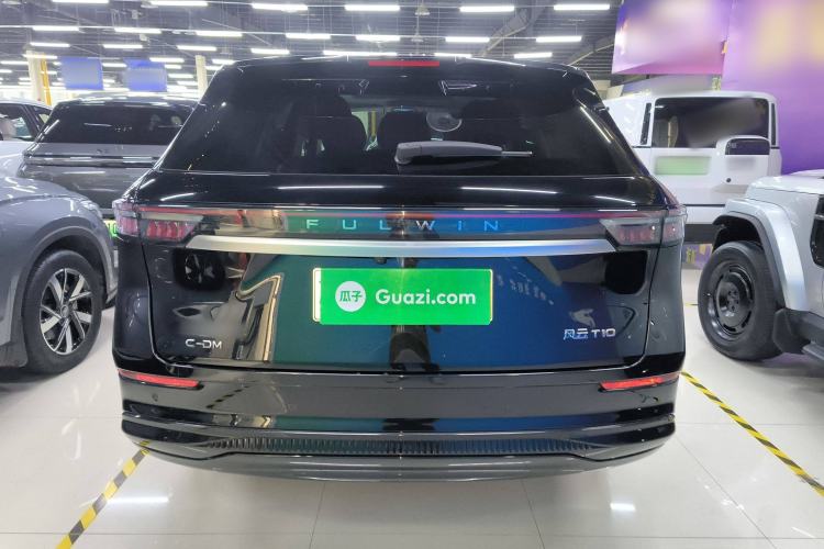 Used Chery Fengyun T10 2024 210 Luxury Edition Rear