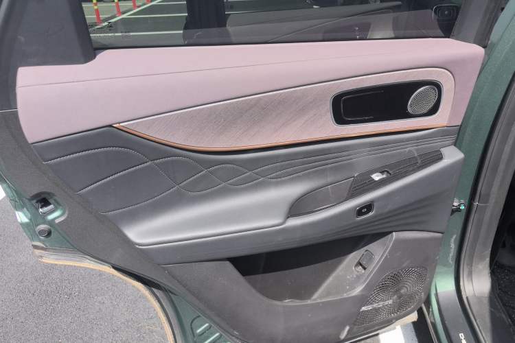 Used Chery Fengyun T10 2024 210 Luxury Edition Left Rear Door Interior