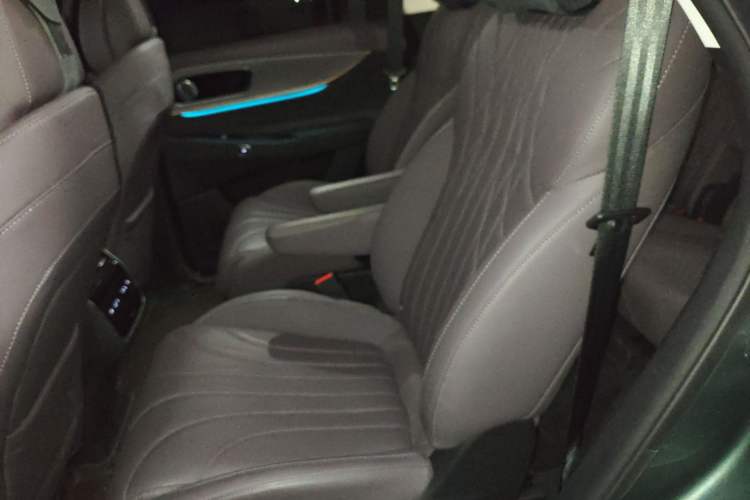 Used Chery Fengyun T10 2024 210 Luxury Edition Left Rear Seat
