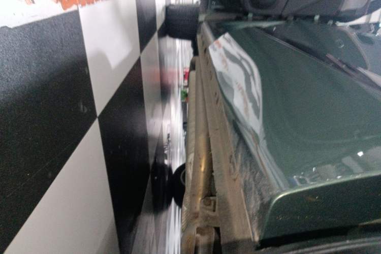 Used Chery Fengyun T10 2024 210 Luxury Edition Left Side Sill