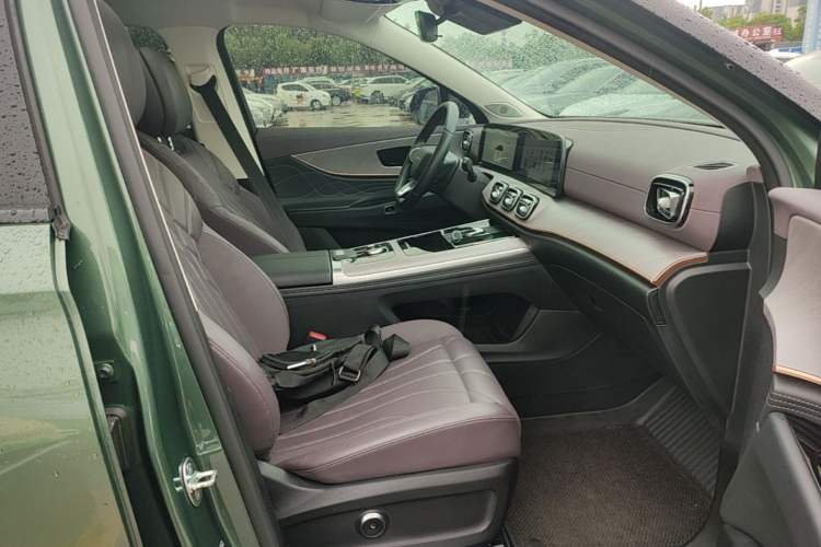 Used Chery Fengyun T10 2024 210 Luxury Edition Right Front Seat