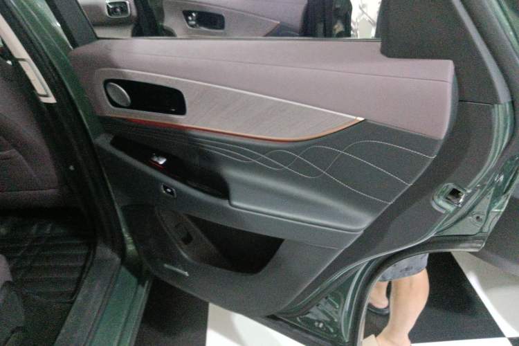 Used Chery Fengyun T10 2024 210 Luxury Edition Right Rear Door Interior