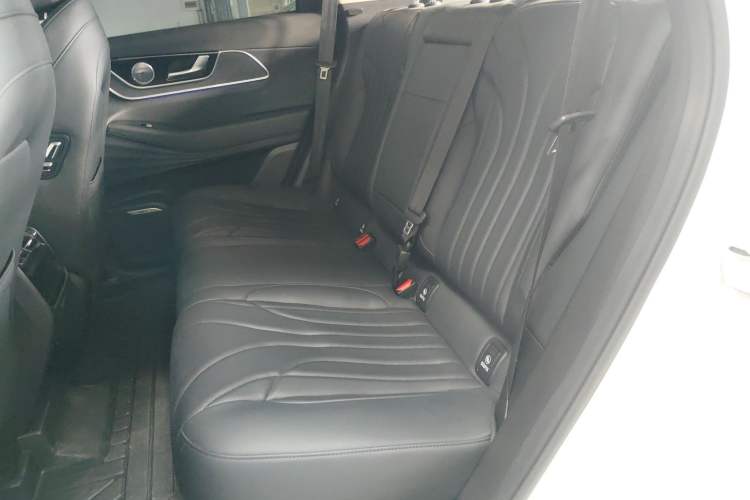 Used Chery Fengyun T9 2024 120 Long-Range Comfort Version 5-Seater with Ternary Lithium Battery Left Rear Seat