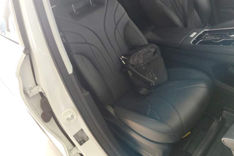 Used Chery Fengyun T9 2024 120 Long-Range Comfort Version 5-Seater with Ternary Lithium Battery Right Front Seat