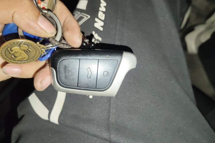 Used Chery Little Ant 2019 4-Seater Smart Edition 35 kWh Interior 1