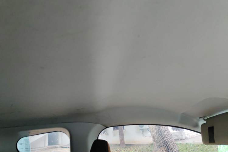Used Chery Little Ant 2018 400 4-Seater Smart Edition Headliner