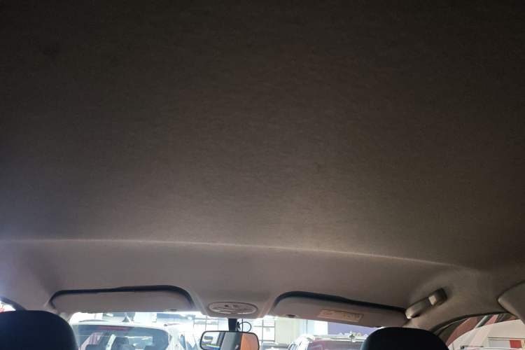 Used Chery Little Ant 2018 400 4-Seater Smart Edition Headliner