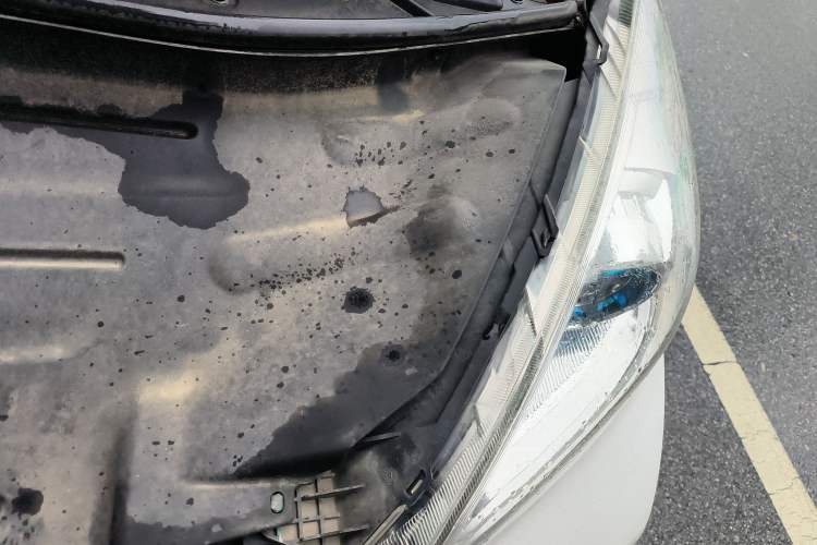 Used Chery Little Ant 2018 400 4-Seater Smart Edition Engine Bay Left
