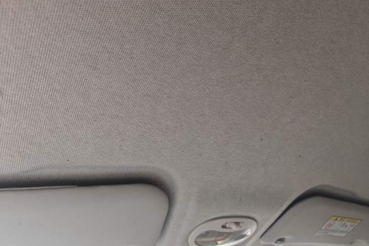 Used Chery Little Ant 2018 400 4-Seater Smart Edition Headliner