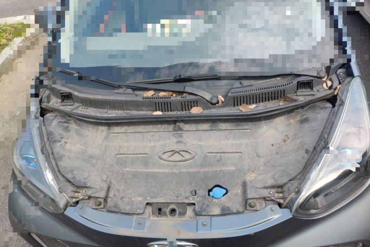 Used Chery Little Ant 2019 4-Seater Smart Edition 35 kWh Engine Bay