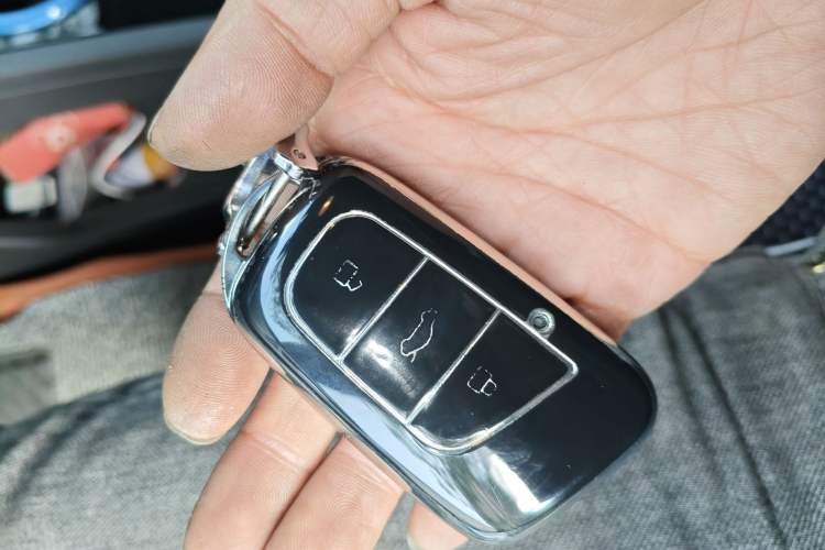 Used Chery Little Ant 2019 4-Seater Smart Edition 35 kWh Vehicle Key
