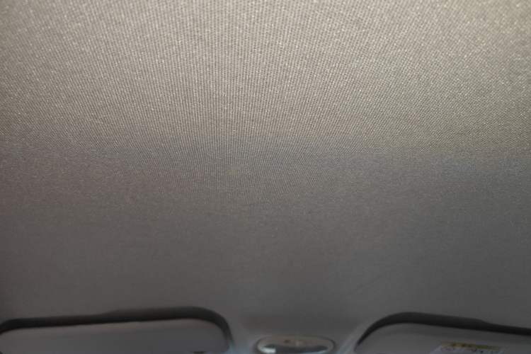 Used Chery Little Ant 2019 4-Seater Smart Edition 30.6 kWh Headliner