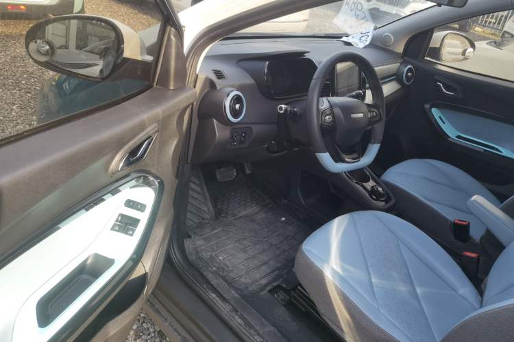 Used Chery Little Ant 2021 200 000-Yuan Ant Fan Edition Oxygen Version Lithium Iron Phosphate 301 km Driver Seat