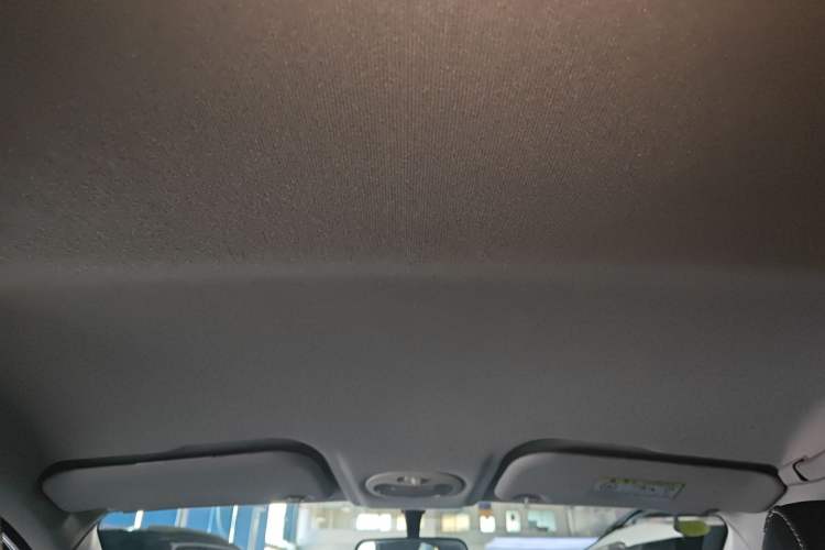 Used Chery Little Ant 2021 200 000-Yuan Ant Fan Edition Energized Version Lithium Iron Phosphate 301 km Headliner