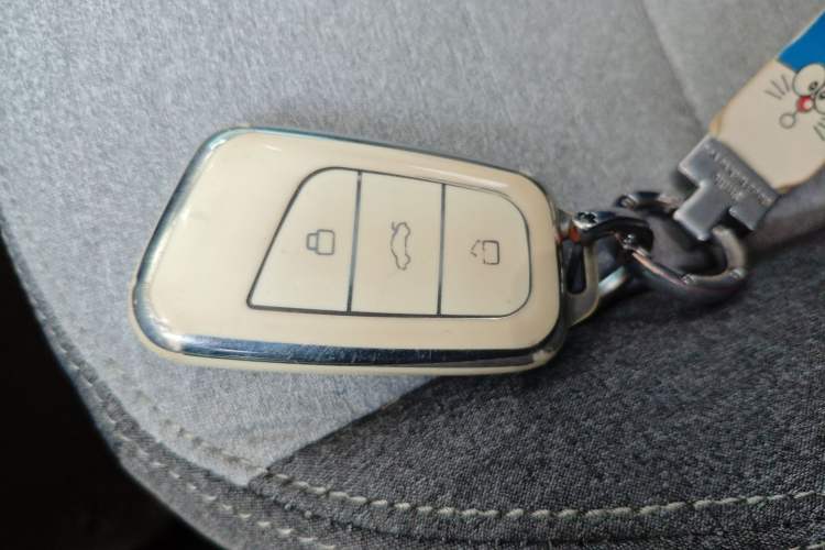 Used Chery Little Ant 2021 150 000 Yuan "Ant Fan" Edition New Ant Xuan Version Lithium-NMC Battery Interior 1