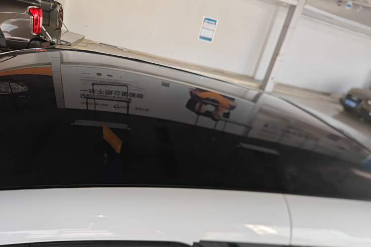 Used Chery Little Ant 2021 200 000-Yuan Ant Fan Edition Energized Version Lithium Iron Phosphate 301 km Roof