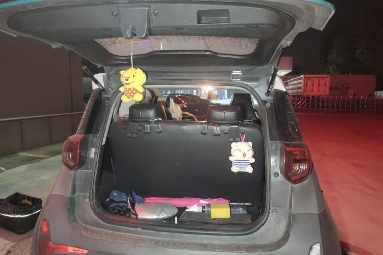 Used Chery Little Ant 2021 150 000 Yuan Ant Fan Edition Ant Trend Version Lithium Iron Phosphate Trunk