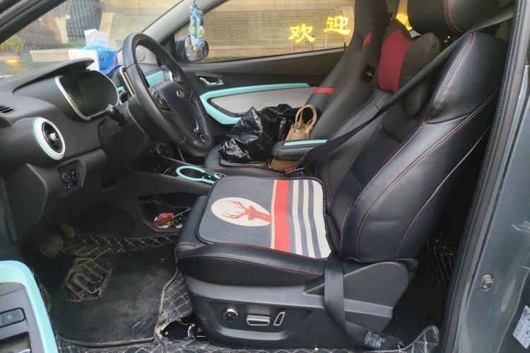 Used Chery Little Ant 2021 200 000-Yuan Ant Fan Edition Energized Version Lithium Iron Phosphate 301 km Left Front Seat