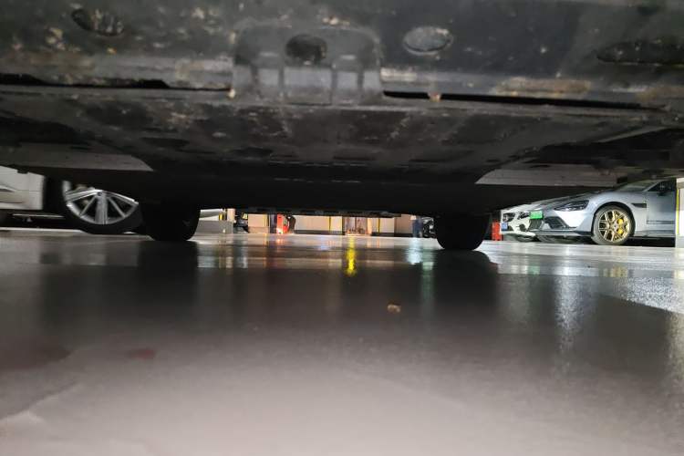 Used Chery Little Ant 2021 150 000 Yuan "Ant Fan" Edition Ant Cool Version with Ternary Lithium Chassis Rear