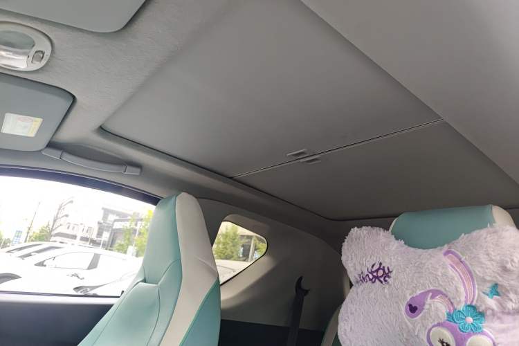 Used Chery Little Ant 2021 150 000 Yuan "Ant Fan" Edition New Ant Xuan Version Lithium-NMC Battery Headliner