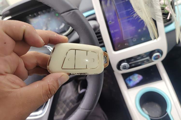 Used Chery Little Ant 2021 150 000 Yuan "Ant Fan" Edition New Ant Xuan Version Lithium-NMC Battery Vehicle Key