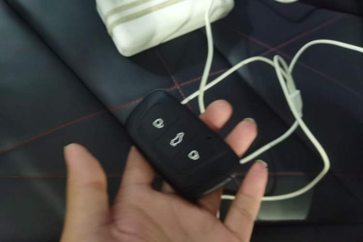 Used Chery Little Ant 2022 Sweet Pink Edition Half-Sugar Version Lithium Iron Phosphate 29.2 kWh 30 kW 301 km Interior 1