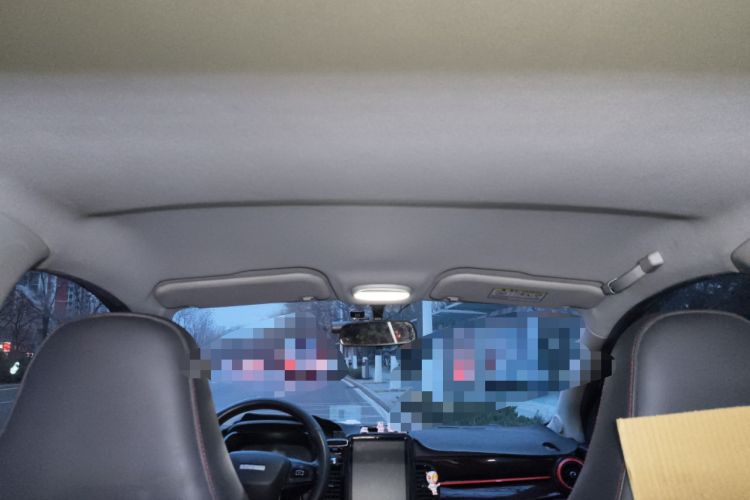 Used Chery Little Ant 2022 Sweet Pink Edition Low-Sugar Version 30kW 301km Range Headliner