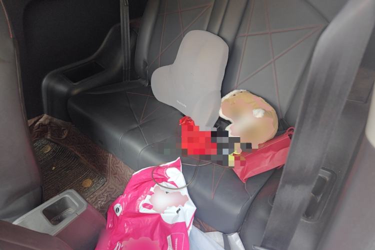 Used Chery Little Ant 2022 Sweet Pink Edition Low-Sugar Version 30kW 301km Range Left Rear Seat