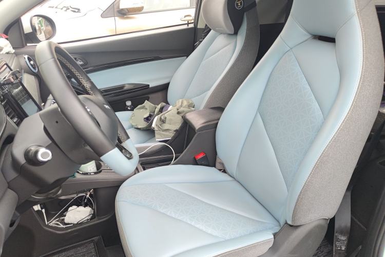 Used Chery Little Ant 2022 Sweet Pink Edition Full-Sugar Version Lithium Iron Phosphate 30 kW 301 km Left Front Seat